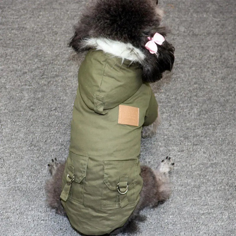 Warm winter jacket for small dogs: comfort and style!