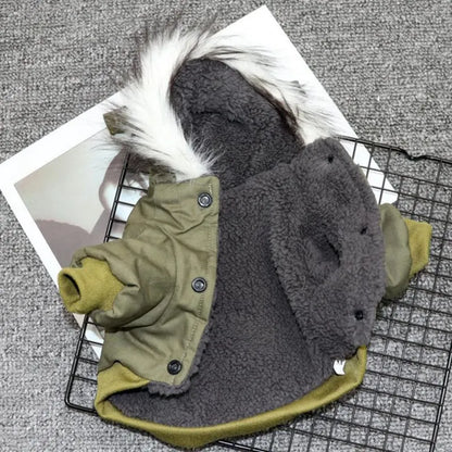 Warm winter jacket for small dogs: comfort and style!