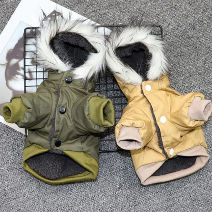 Warm winter jacket for small dogs: comfort and style!