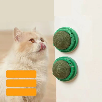 Interactive catnip and grass toy for active play