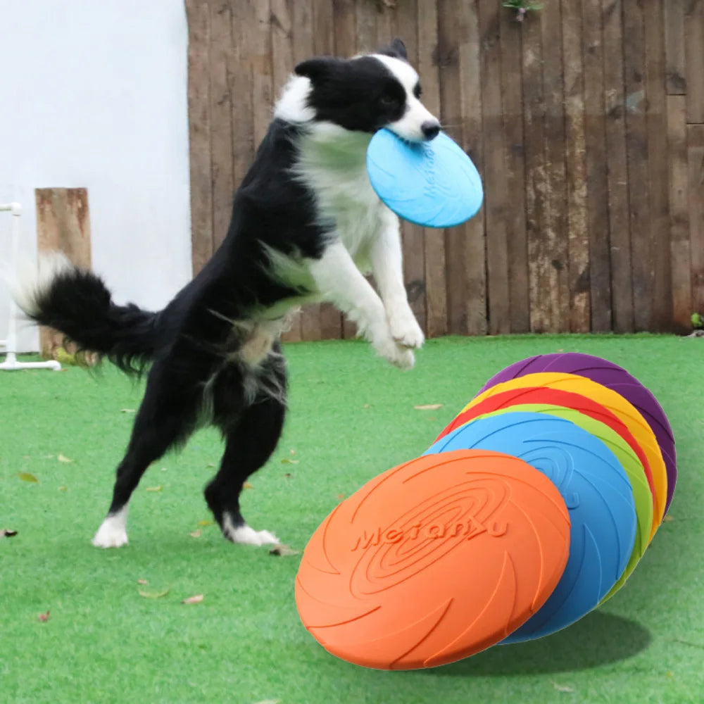 Frisbee toy for training: strengthen the bond with your pet!