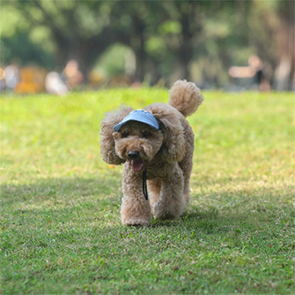 Stylish baseball cap for dogs: comfort and sun protection in one accessory!