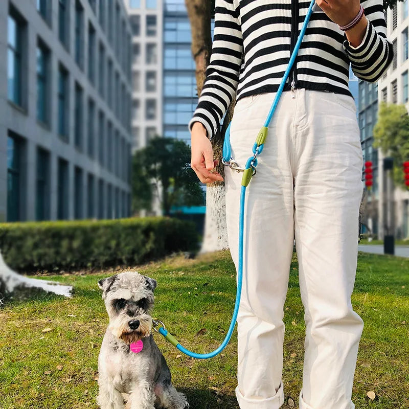 leash for active dogs: hands free and safe!