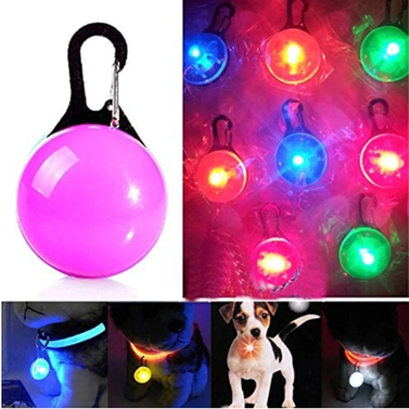 Brightly colored collar with light: make walking safe