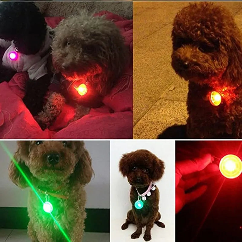 Brightly colored collar with light: make walking safe