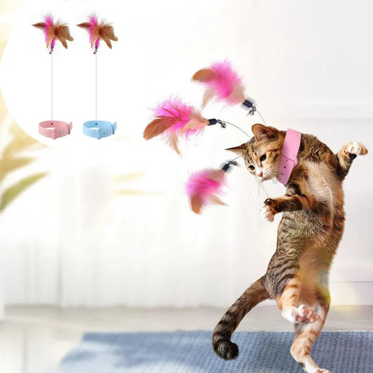 A fun toy to exercise and play with your cat