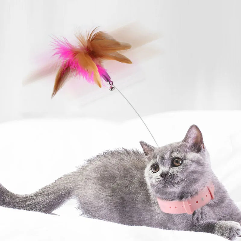 A fun toy to exercise and play with your cat