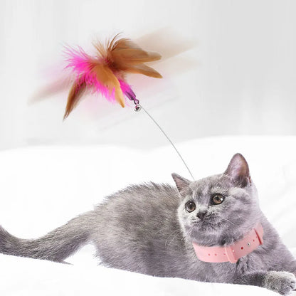 A fun toy to exercise and play with your cat