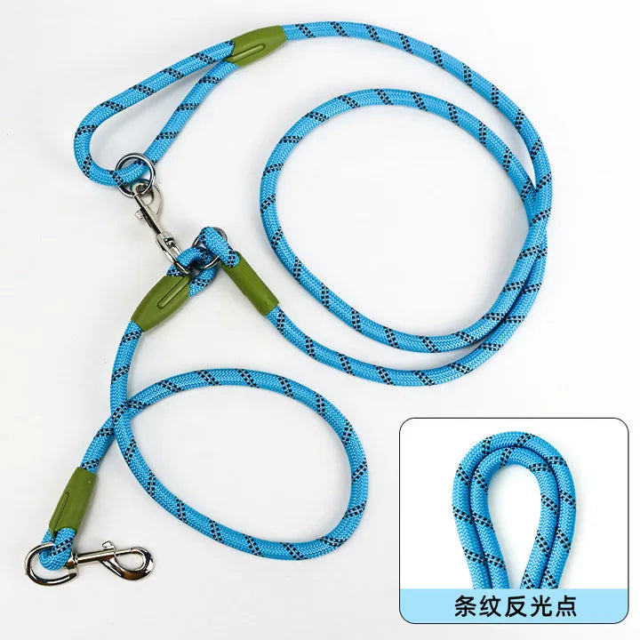 leash for active dogs: hands free and safe!