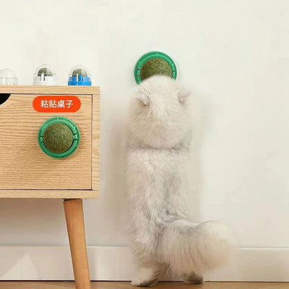 Interactive catnip and grass toy for active play