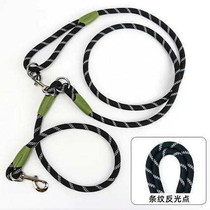 leash for active dogs: hands free and safe!