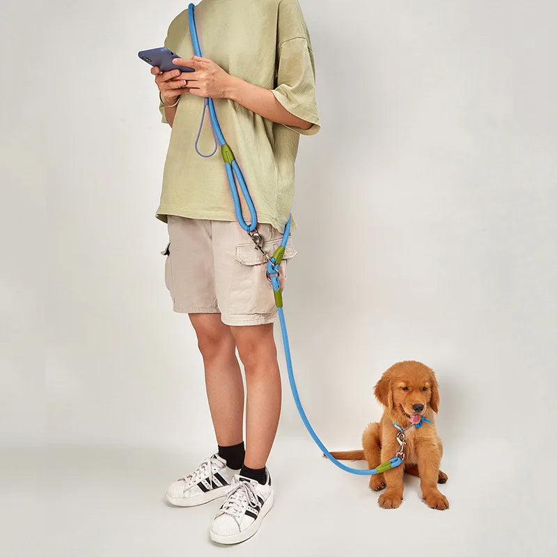 leash for active dogs: hands free and safe!