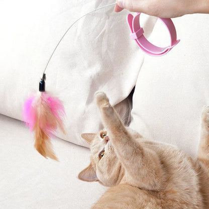 A fun toy to exercise and play with your cat