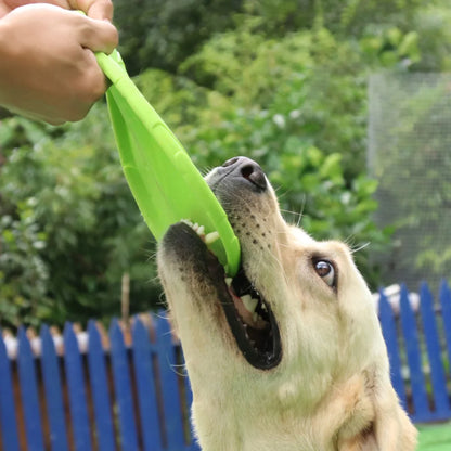 Frisbee toy for training: strengthen the bond with your pet!