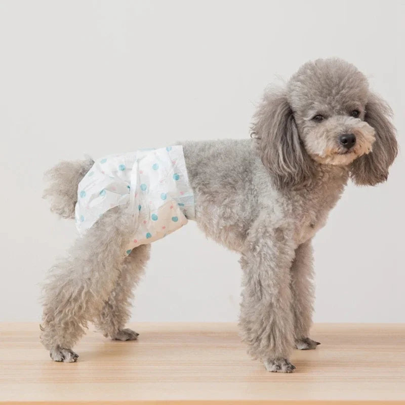 Diapers for dogs: cleanliness and comfort during heat!