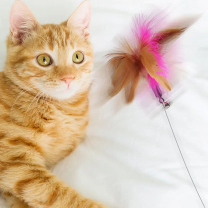 A fun toy to exercise and play with your cat