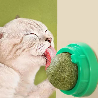 Interactive catnip and grass toy for active play