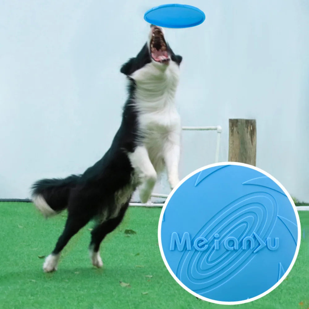 Frisbee toy for training: strengthen the bond with your pet!