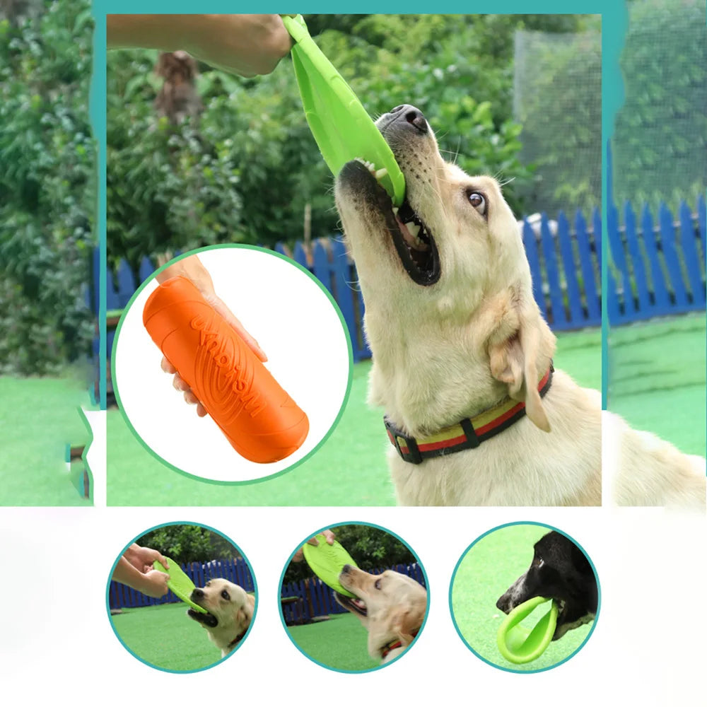 Frisbee toy for training: strengthen the bond with your pet!