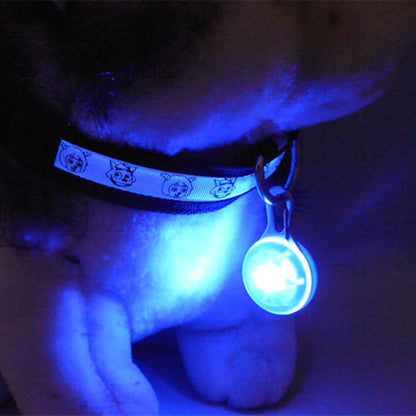 Brightly colored collar with light: make walking safe