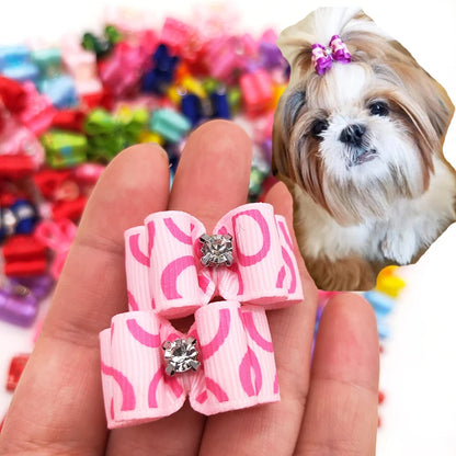 Brightly colored grooming bows: create a unique look for your pet